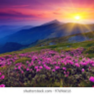 Meet your Posher, Nerma